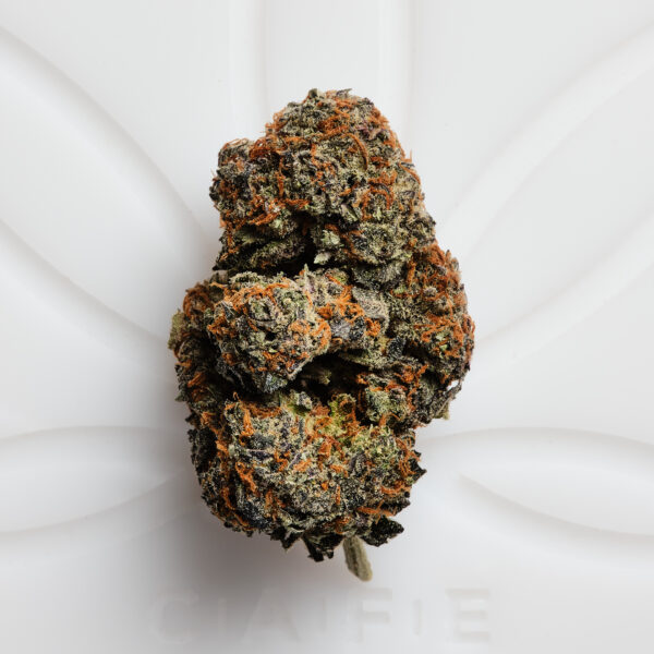 Buy Gary Payton Strain Online in Germany | Diesel-Earth Aroma with Robust Flavors