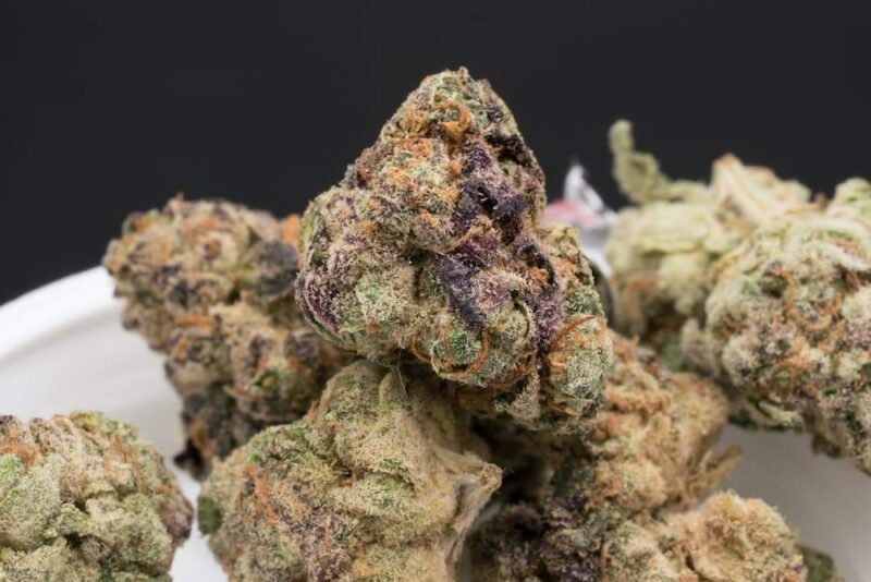 Buy Apple Fritter Strain Online in Germany | Premium Cannabis Flower with Worldwide Shipping