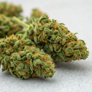 Blue Dream Online Bestellen Unkrautlieferung Berlin Deutschland Tipps und Infos